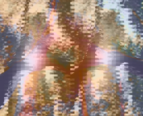 PACK & SEND Delivers Some Love