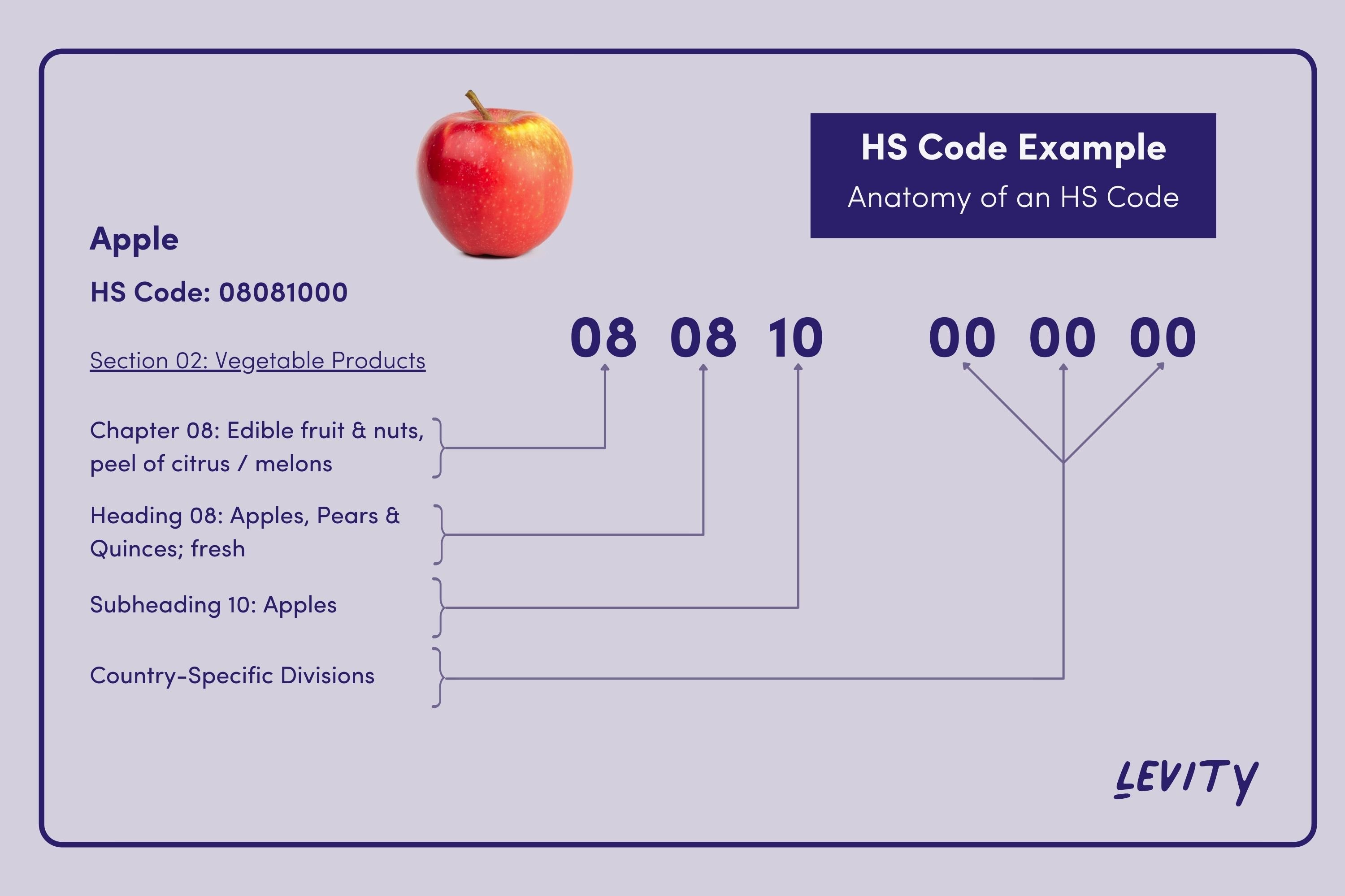 What Is Harmonised System HS Code 